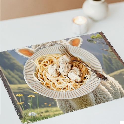 Sets de table thermorésistants antidérapants en toile lavable pour cuisine