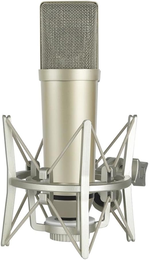 Studio Grade Condenser Microphones for Voice Recording Broadcasts and Live Performances