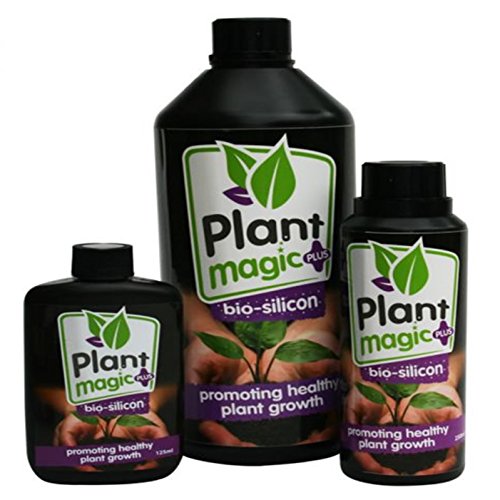 Pianta Magic bio in silicone 125 ml
