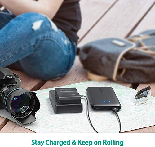 NP-FZ100 RAVPower [Upgraded] Camera Batteries Charger Set for Firmware 2.0 Sony Alpha A7 III Battery A7R III A9 Alpha 9 A7R3 a6600 a7R IV Alpha a9 II Alpha 9R A9R Alpha 9S (2-Pack, 2040mAh) - Thumbnail 6