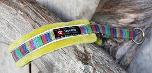 FinNero Pet Products, Finland – Nordic Lights Soft, Padded Fleece Dog Collar (0 (25-32 cm), Lime)