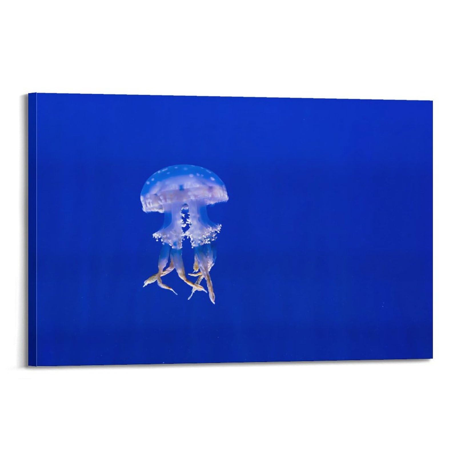 CXHJCA Sea Life Poster Jellyfish Poster Decorative Painting Canvas Wall Posters And Art Picture Print Modern Family Bedroom Decor Posters 24x36inch(60x90cm)