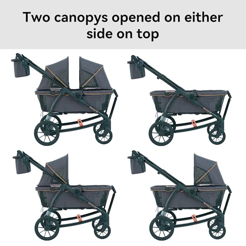 Pamo Babe All-Terrain Wagon Stroller for Two Kids, Double Stroller with Push or Pull Handle, Canopy, Storage Basket, Dinner Plate, Oversized Damping Wheels, Mosquito Net and Rain Cover Grey
