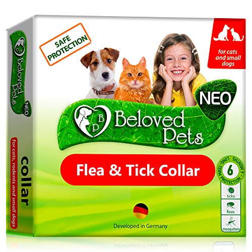 Flea and Tick Collar for Dogs and Cats - Natural Flea Treatment for Pets Kittens Puppies - Flea Prevention Up to 6 Months -Non-Allergic Repellent - Immediate Flea Control (Small)