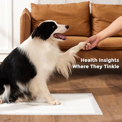 Health Monitoring Puppy Pee Pads - 5 Count, Use Code 3FUOWNNF - Image 4