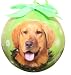 Golden Retriever Christmas Ornament Shatter Proof Ball Easy To Personalize A Perfect Gift For Golden Retriever Lovers