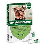 Advantage 40 Lösung f.Hunde bis 4 kg 4 St