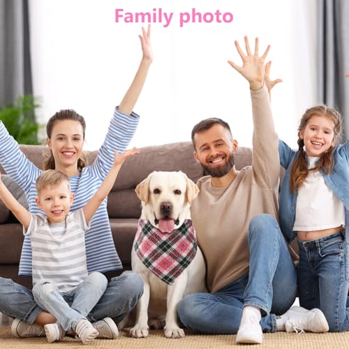 Aomig Bandana Hund Kopftücher Hunde Dreiecks Mode Halstuch Hundehalstuch klassisches Plaid Dreieckstuch Waschbare Hundehalstücher Geburtstag Hund für Kleine Mittel Große Hunde Katzen 50x50x70cm (Rot)