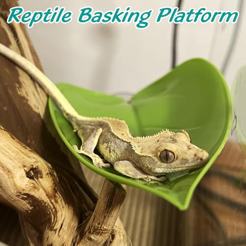 Image of 6 Pack Plastic Frog Habitat Platform with Suction Cups Reptile Decorations for Terrarium Dwarf Frogs Tank Accessories Decor Turtle Basking Platforms for Amphibian (Green)