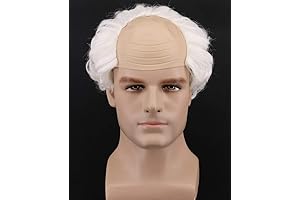 Short White Bernie Sanders Wig