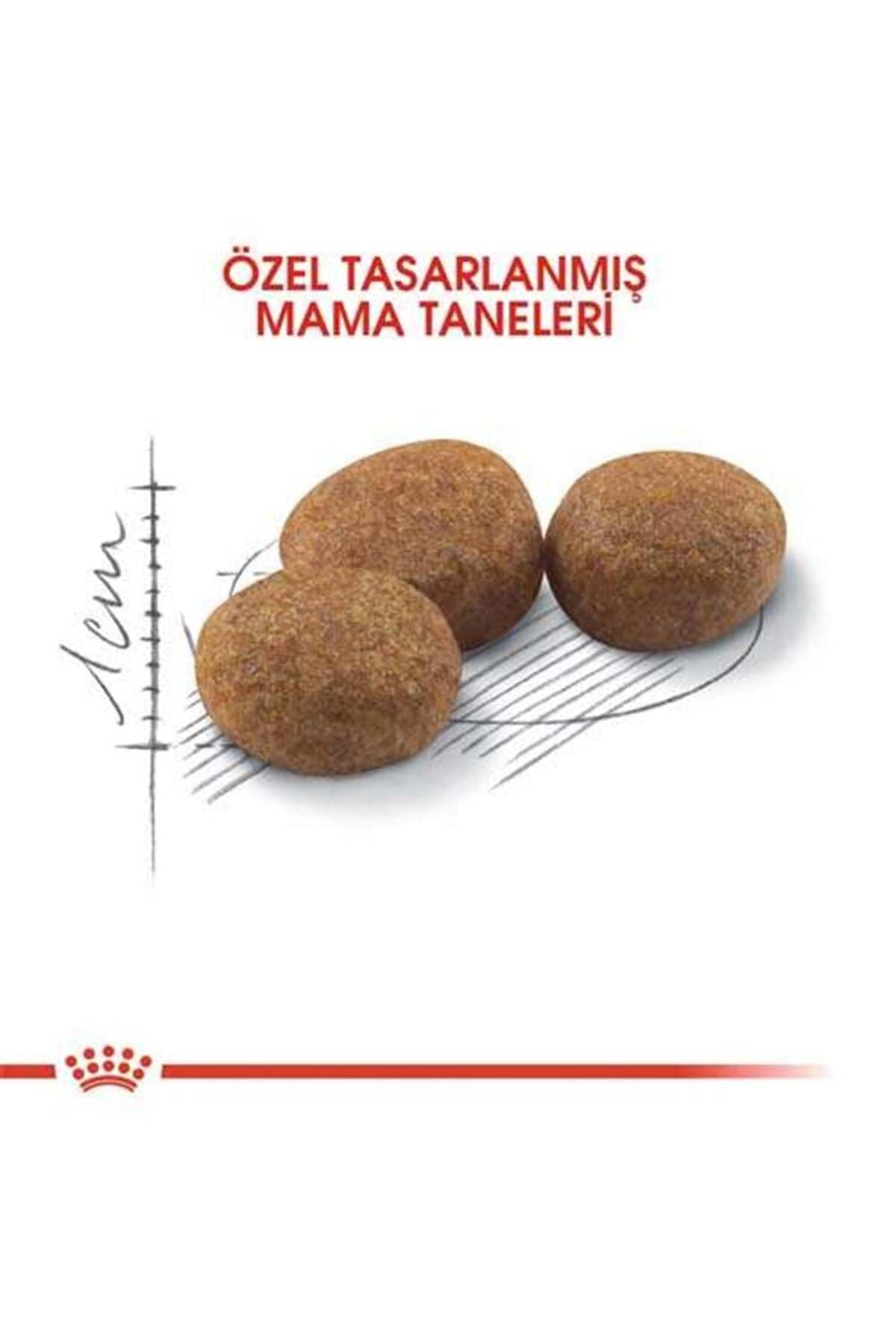 Royal Canin 55128 esterilizado 10 kg - comida para gatos