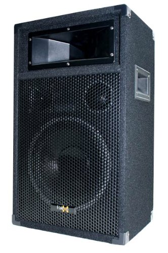 E-Lektron 500W DJ Party Lautsprecher Box - 25cm / 10" Bass PW25
