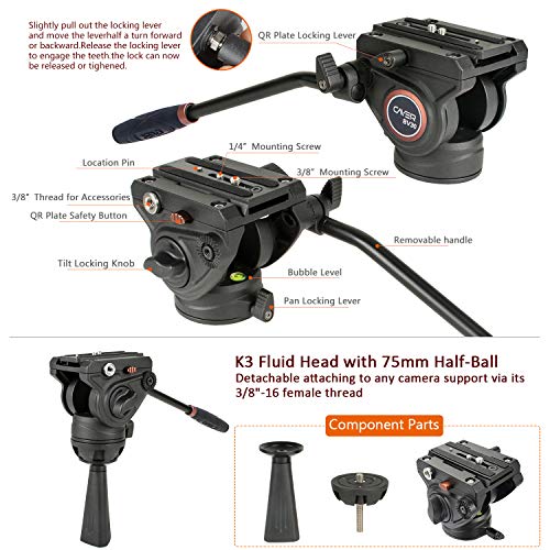 Treppiede video per impieghi gravosi, Cayer 64 pollici BV30-Camcorder Tripod System Gamba in alluminio, testina fluido K3, diffusore intermedio, caricamento massimo 13.2 LB, scatto DSLR