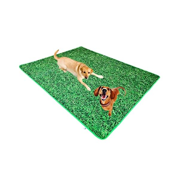Ruff World Reusable Washable Pee Pads for Dogs - Custom Grass Pattern Training Mats, Odor Resistant, 48"x72" Size