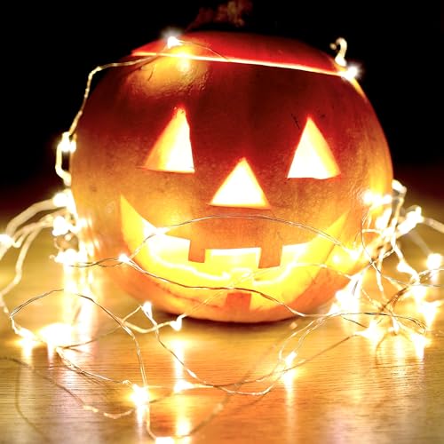 Image of Feit Electric 6ft Indoor LED Fairy String Lights with On /Off Switch, Silver Wire Light Strand, 5K Life Hours, 1.8W Warm White and AA Battery Powered - FY6-20 /SLV