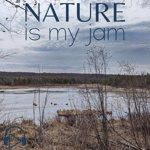 Fading Light on Otter Creek