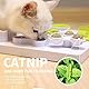 ALL FOR PAWS Interactives Katzen-Futterstation Puzzle, Interaktives Intelligenzspielzeug für Katzen, Interaktives Spielzeug für Katzen (Fisch Futterstation Puzzle)