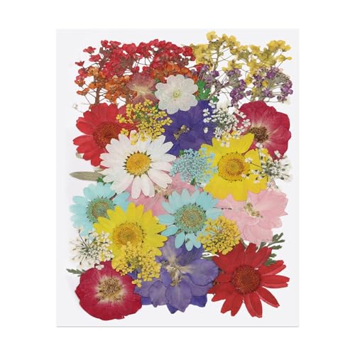 Hojas de Flores Secas Prensadas x40 para Manualidades miniatura 1