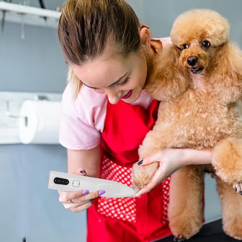 Tondeuse pour chiens sans fil et chat avec écran LED de précision