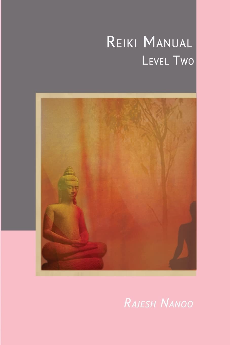 Reiki Manual 2: Level Two: Volume 2