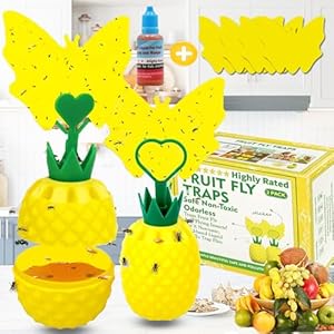 FliegenfalleX2, Schädlingsbekämpfung Fliegenfalle,Fruchtfliegenfalle Innenbereich mit Lockstoff, ungiftige Wiederverwendbare Fliegenfalle, für Küche/Wohnzimmer/Anlage