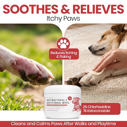 Image of Dog Paw Wipes Antibacterial 50 Count - Antifungal Wipes for Dogs | Contains 2% Chlorhexidine and 1% Ketoconazole - Good for All Breeds - Made in the USA