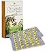 Oreganic Plus Mastic - Oregano Essential Oil Capsules & Chios Mastic Gum Oil - Wild Oregano Softgels Organic - Immune Booster and Intestinal Support - Non-GMO - 30 Count Blister