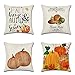Artscope 4er-Set Dekorativ Kissenbezug 45 x 45 cm, Herbst-Thema Polyester Leinen Kissenbezüge Dekokissen Kissenhülle Set Kissen Fall für Sofa Auto Schlafzimmer Zuhause Dekor (Kürbis - B)