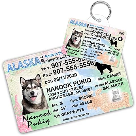 1 Cute Pooch Alaska Driver License Custom Dog Tag for Pets and Wallet Card - Personalized Pet ID Tags - Dog Tags for Dogs - Dog ID Tag - Personalized Dog ID Tags - Cat ID Tags - Pet ID Tags for Cats Cover