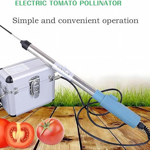 Pollinisateur électrique de tomates contre le manque de fructification