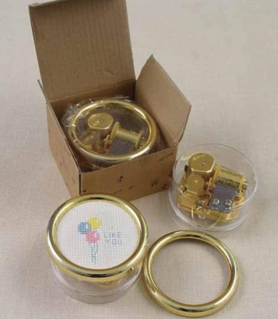 Music Box for Adding Cross Stitch, Needlework, or Photo - No Pattern, Fabric, or Floss Included - Choice of Music - Blue Danube, GREENSLEEVES, Edelweiss, Beautiful Dreamer (Edelweiss)