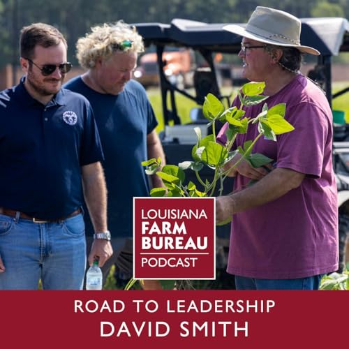 Road To Leadership: David Smith cover art