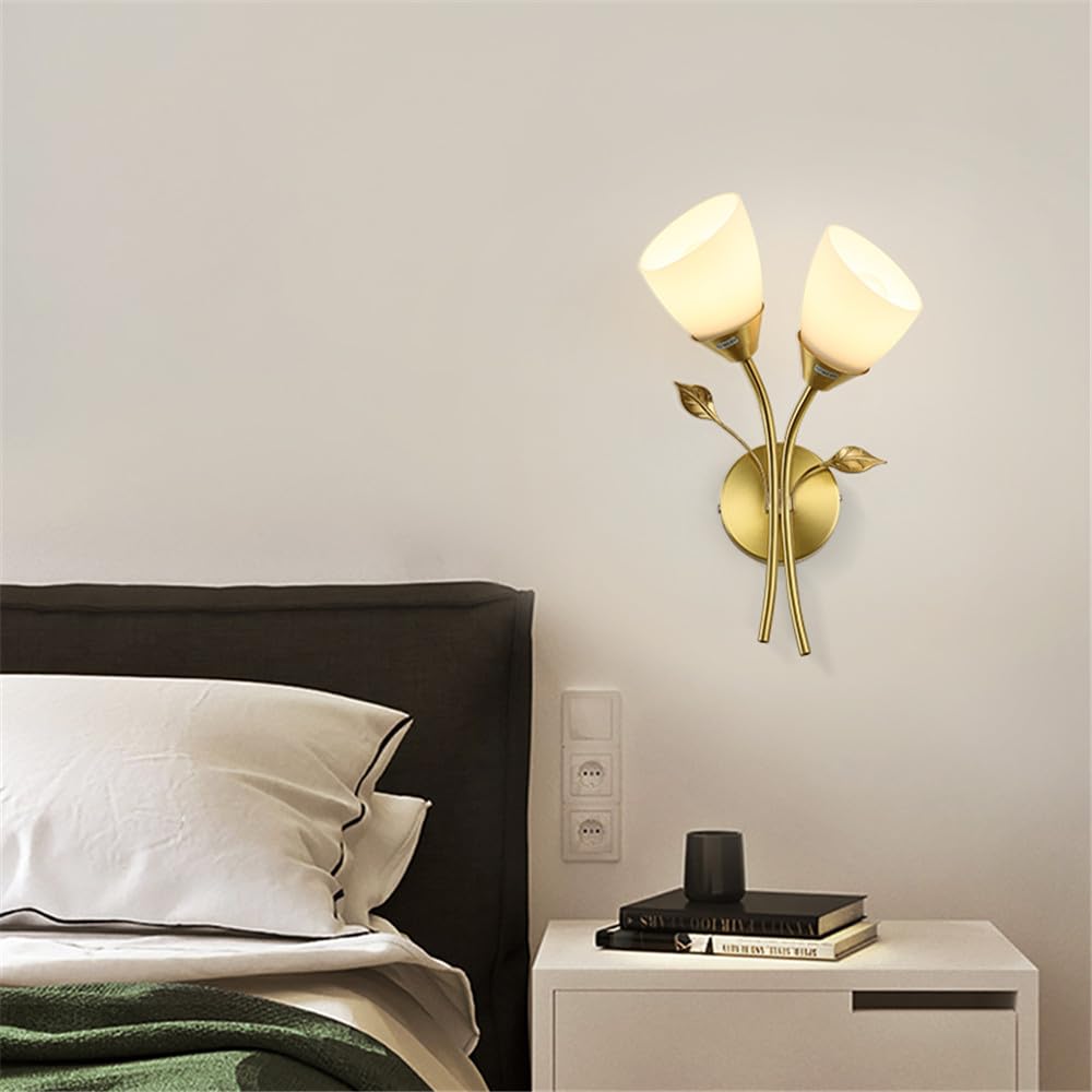 KBUUKYYXouy Brass Wall Lamp - Modern Art Light Fixture for Living Room, Bedroom, Study, Aisle, and Corridor(D 2 Lights)