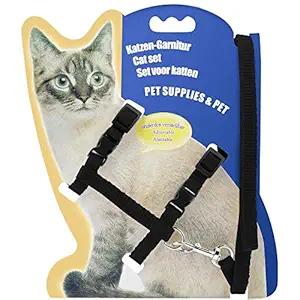 PSK PET MART Cat & Small Pet Nylon Strap Collar with Adjustable Walking Harness Leash (Color May Very, Pack of One)