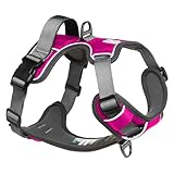 Embark Adventure Dog Harness, Reflective Trim No Pull Dog Harness for Large Dogs - Military Grade Nylon, Front Clip with Gel Lined Handle.