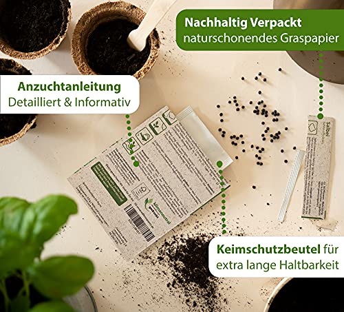 Little Plants BIO-Liebstöckelsamen (Levisticum officinale) Maggikraut | BIO-Kräutersamen | Nachhaltige Verpackung aus Graspapier | Kräuter-Samen | BIO-Saatgut für ca. 80 Liebstöckel-Pflanzen - Image 5
