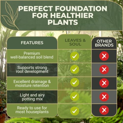 Professional Indoor Potting Soil for House Plants 8.2 Quarts Ready to Use, Premium Potting Mix Indoor Plants, Plant Soil for Indoor Potted Plants with Peat Coco Coir Perlite Dolomite Made in USA by Leaves and Soul - Used condition - Image 3
