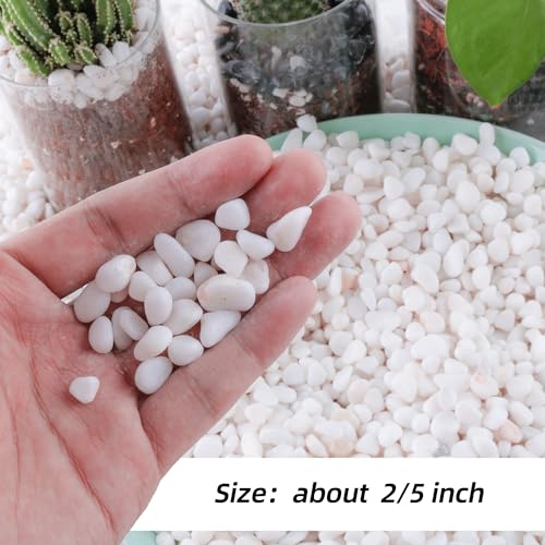 Image of 18lb 1 /4 inch Small White Rocks for Plants,Potting,Succulents Aquarium Fish Tank Garden Vases Decorative Pebbles Gravel Rocks Stones