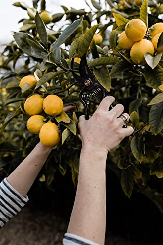 Barebones | Japanese Pruner & Sheath - Old World Japanese Design, Durable Steel Construction #TOP6