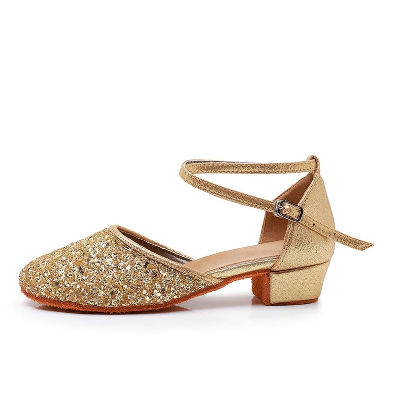 AOQUNFS Girls Latin Dance Shoes Low Heels Tango Salsa Ballroom Practice Performance Dancing Shoes,MF-LP