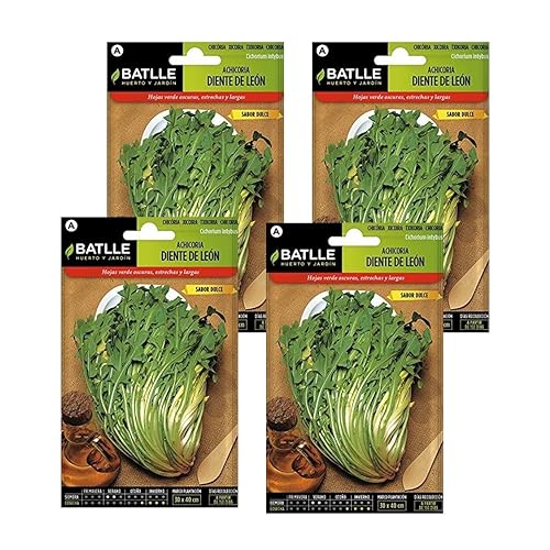Pack 4 Semillas de achicoria silvestre diente de león en sobre de Semillas Batlle,