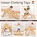 wingyz Pikler Triangle Climbing Set with Cushion, Foldable 8-in-1 Jungle Gyms for Toddlers 18 Months+, Indoor Playground for Kids, Baby Montessori Climber Gift (Rainbow)
