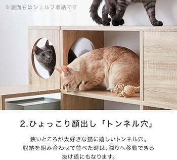木製キャットハウス・シェルフ・ステップセット 猫ハウス&キャットステップ 六角BOXセット ｜ 猫のための木工所