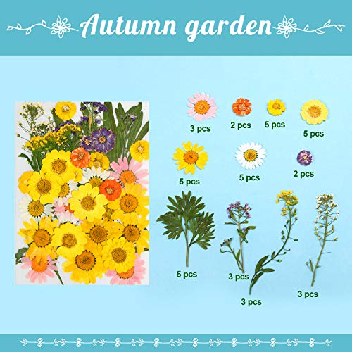 Dried Flowers-116 PCS Natural Dried Flower Herbs Kit for Bath, Soap Making, Candle Making and DIY Resin Jewelry Making Art Floral Decors