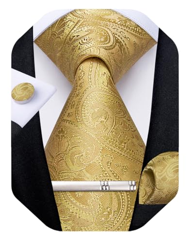 Image of DiBanGu Silk Floral Ties for Men Woven Paisley Necktie and Tie Clip Handkerchief Cufflinks Set for Party Wedding