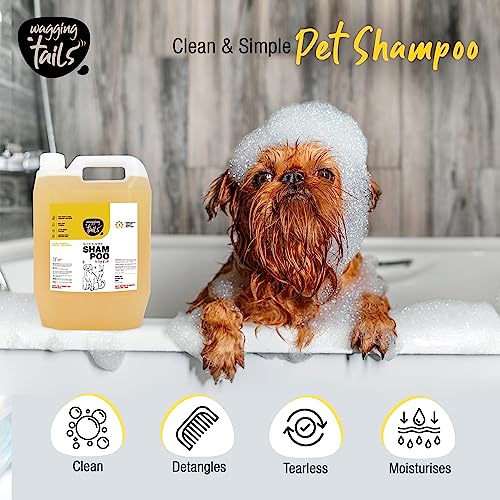 Image of Wagging Tails Slick & Shine 5-in-1 Pet Shampoo -5 LTR | Anti-Itching & Anti-Dandruff Deep Cleanser Shampoo All Breed Dog & Cat