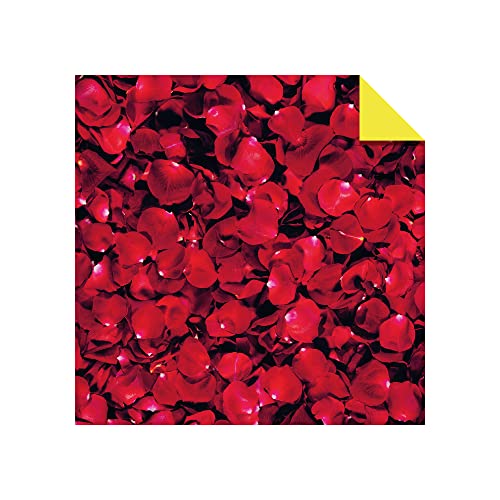 Origami Paper 300 Sheets Nature Photo Patterns 4