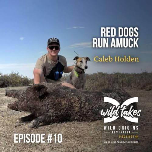 Red Dog Run Amuck