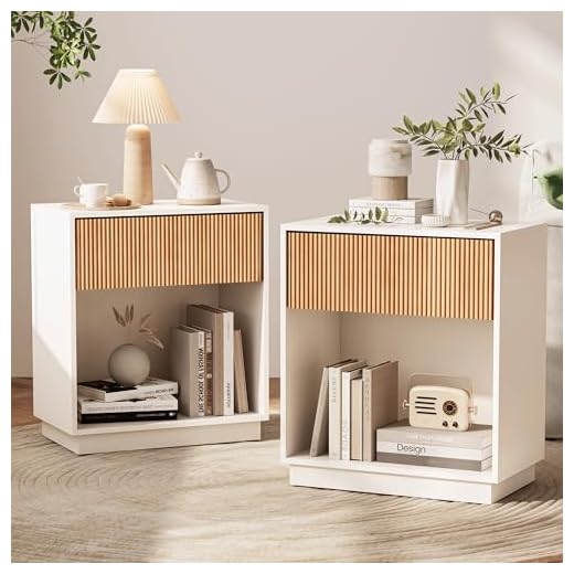 Set of 2 Modern Nightstands