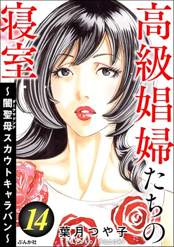 高級娼婦たちの寝室 ～闇聖母スカウトキャラバン～ （14） (ストーリーな女たち)